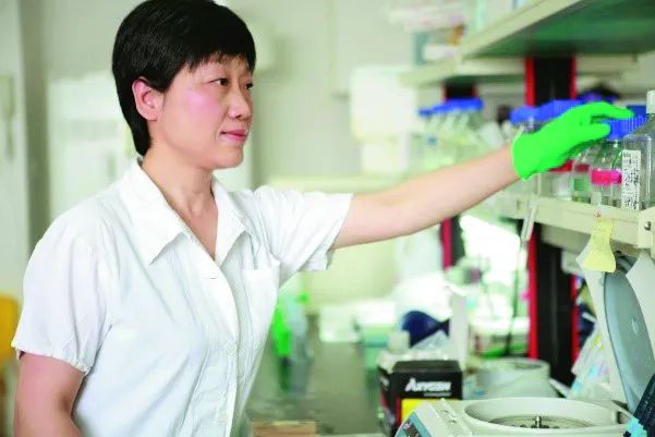 疫情发生以来的几个月中